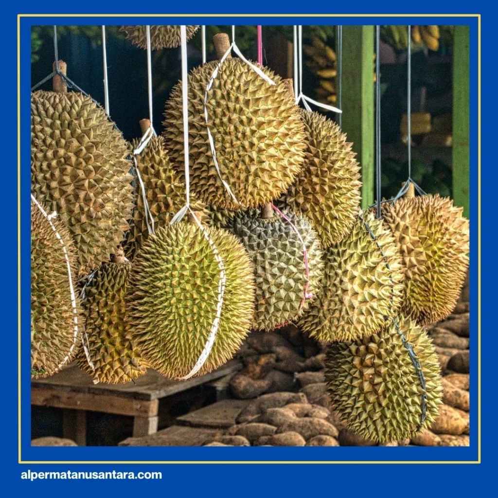 Rekomendasi Makanan Enak di Medan