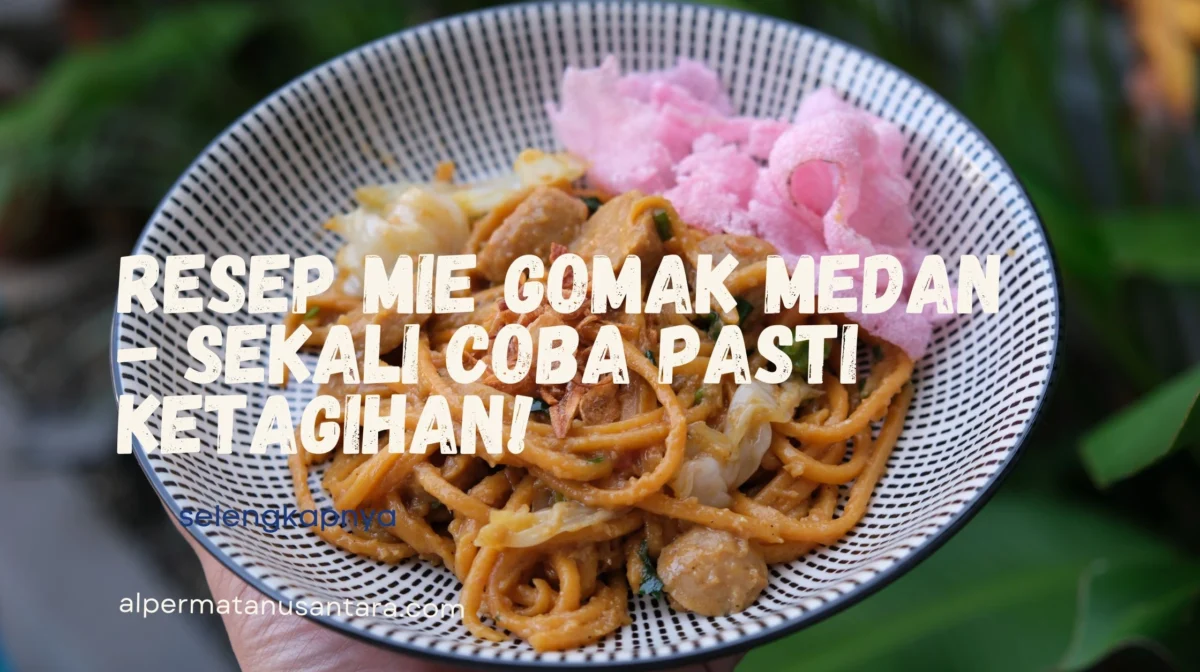 Resep Mie Gomak Medan