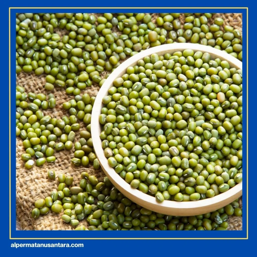 Bubur Kacang Hijau Medan