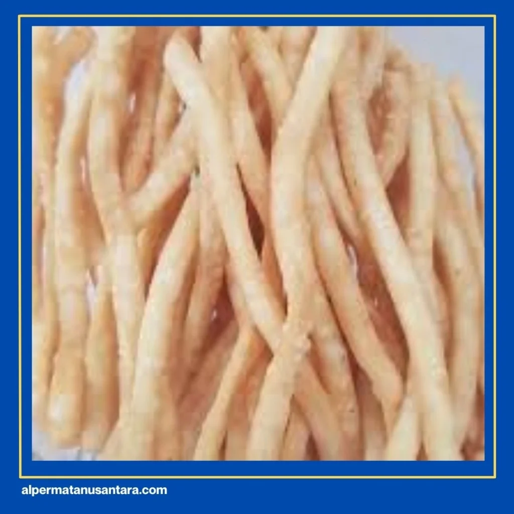 Resep Kue Bawang Medan