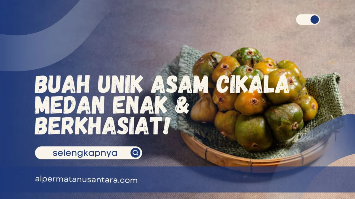 Asam Cikala Medan