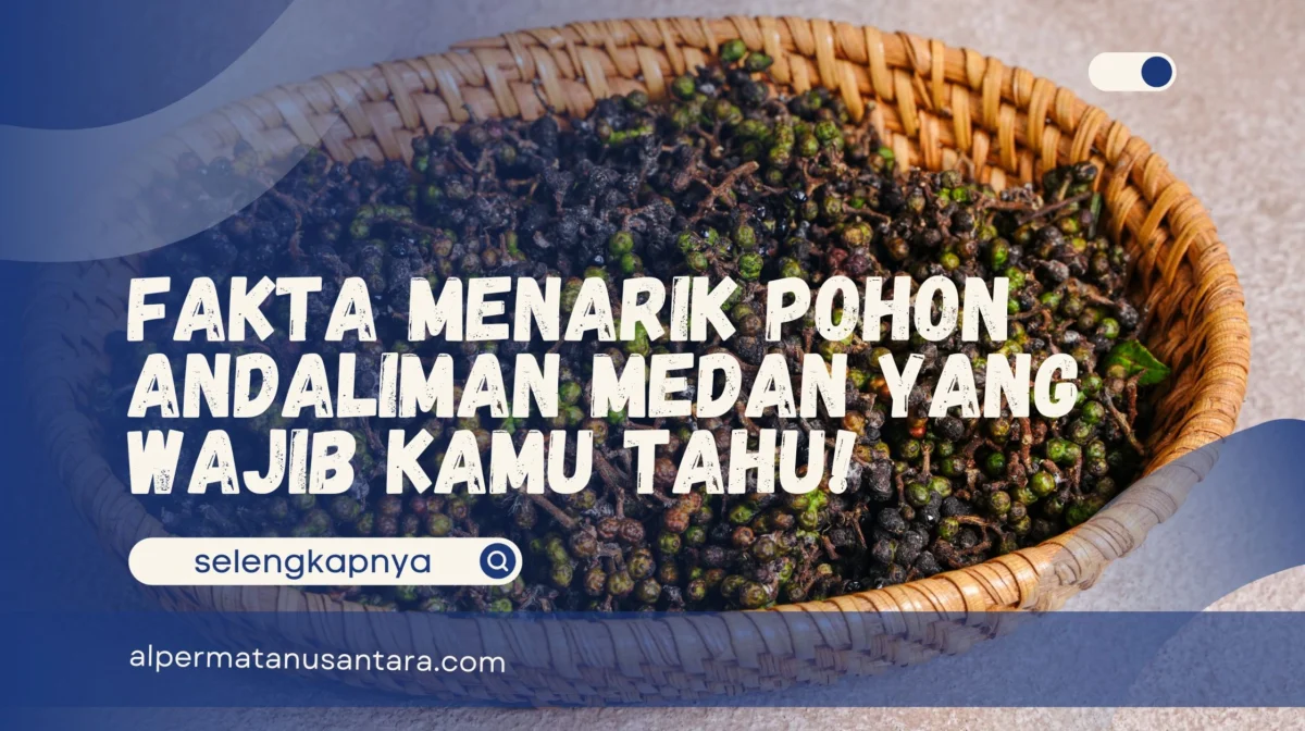 Pohon Andaliman Medan