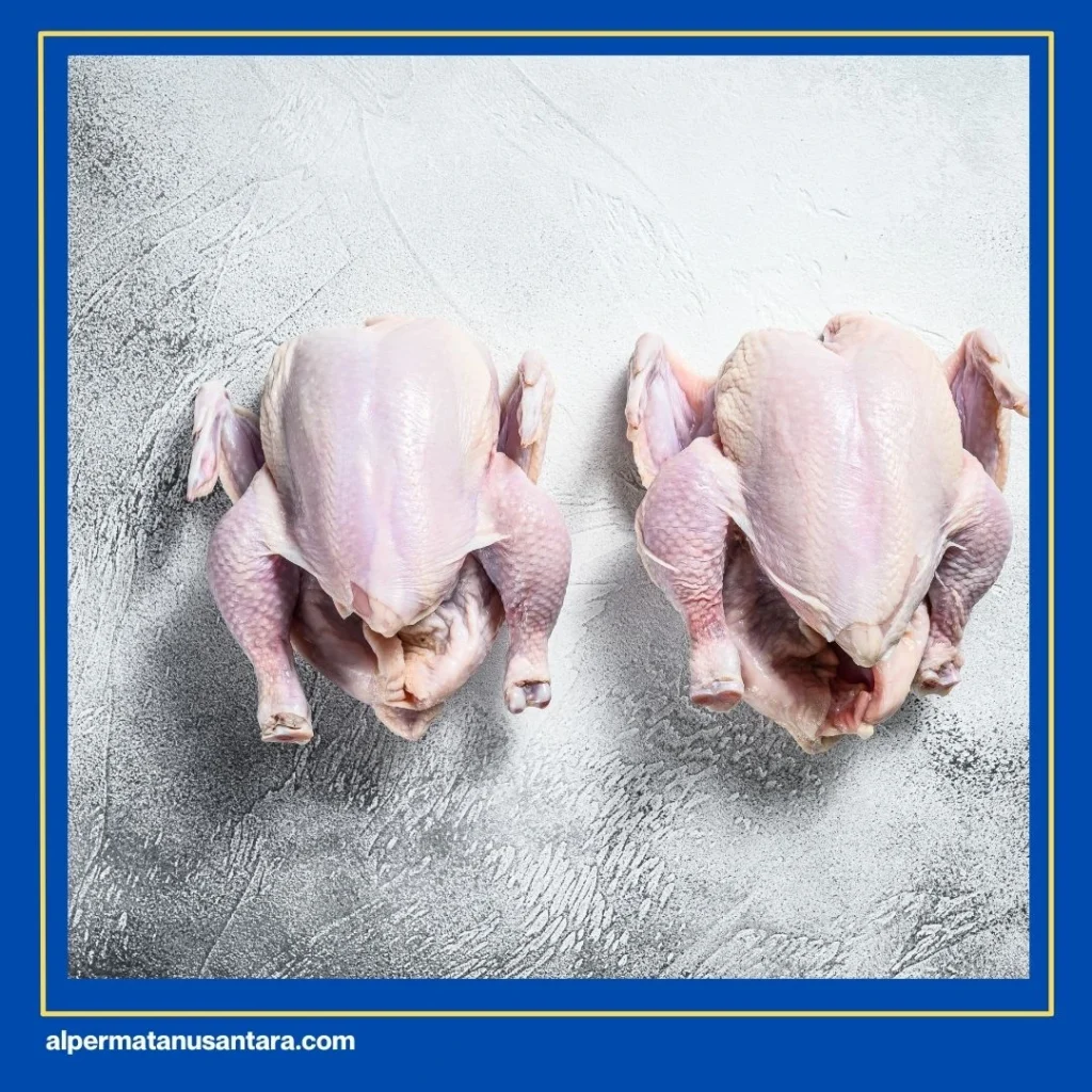 Ayam Goreng Kalasan Medan