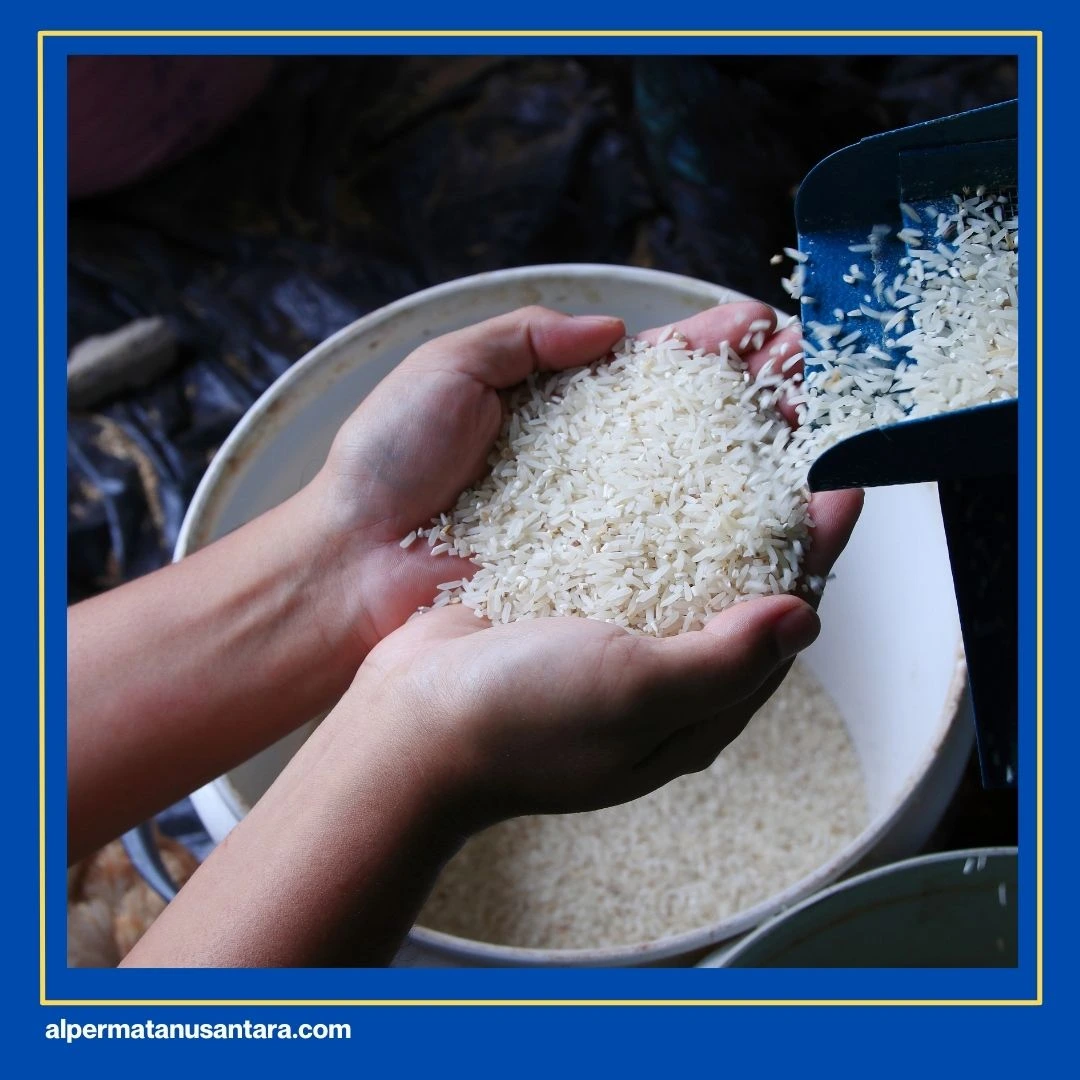 Resep Nasi Gurih Medan
