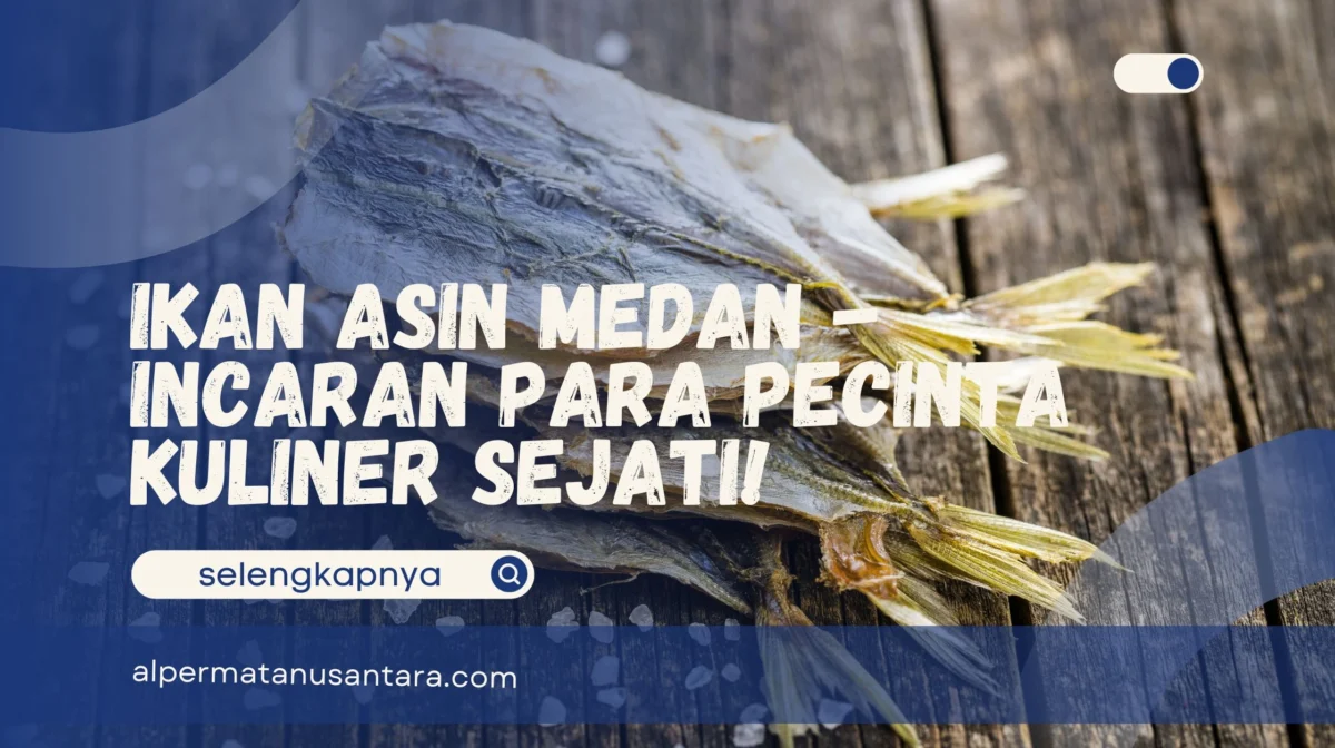 Ikan Asin Medan